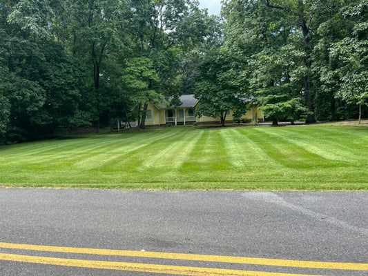 Lawn Care